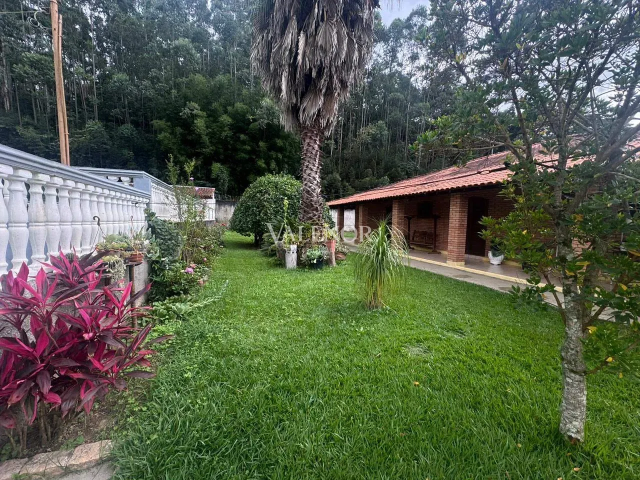 Sítio, 4 quartos, 2 hectares - Foto 18