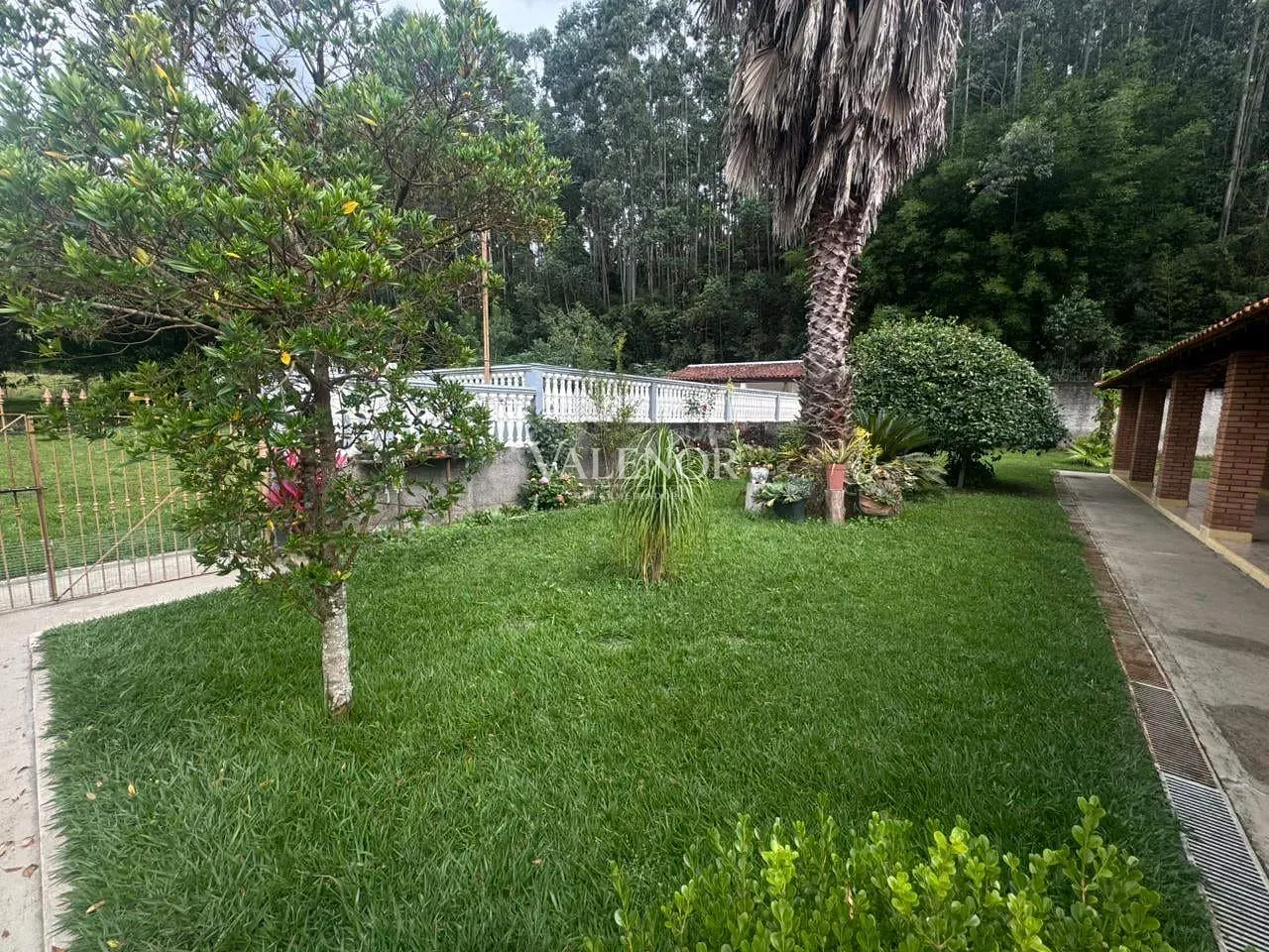 Sítio, 4 quartos, 2 hectares - Foto 23