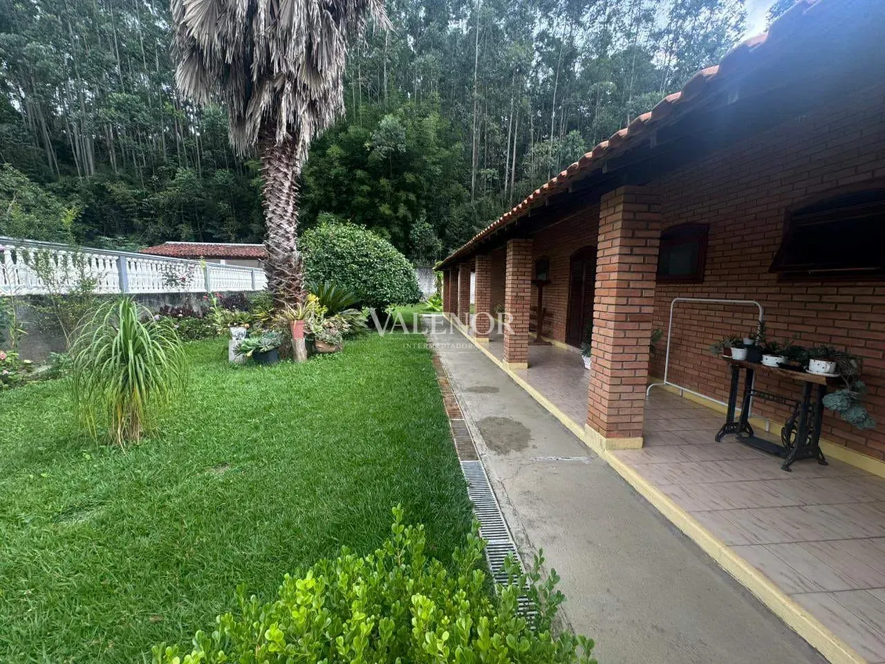 Sítio, 4 quartos, 2 hectares - Foto 24
