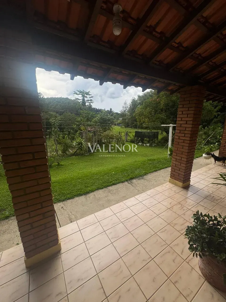 Sítio, 4 quartos, 2 hectares - Foto 33