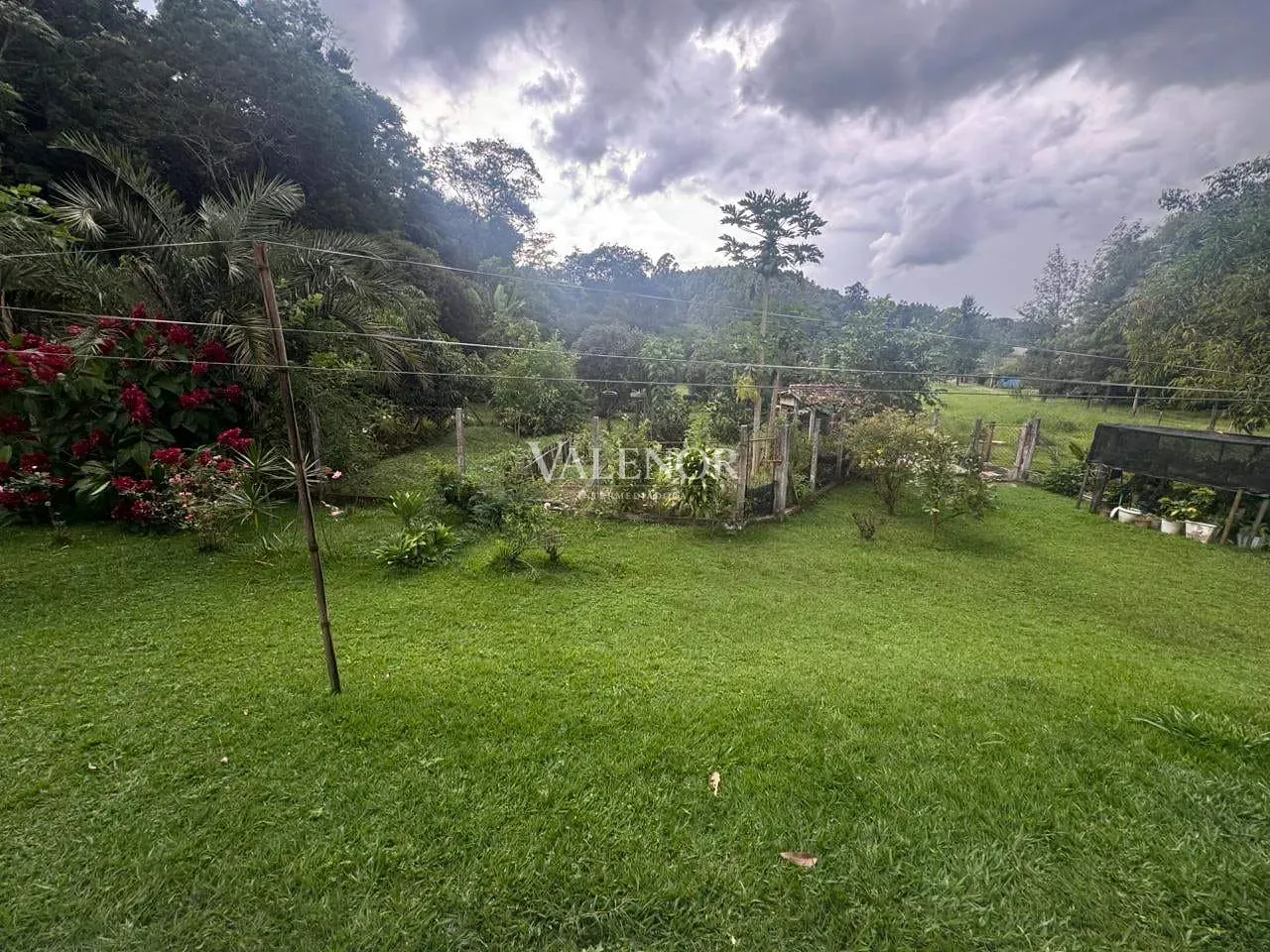 Sítio, 4 quartos, 2 hectares - Foto 42