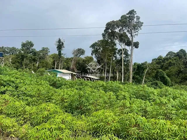 Chácara com 2500m², à venda, no bairro Chácara de Lazer Monaliza em Sinop