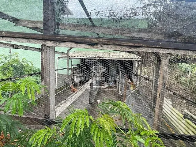 Chácara com 2500m², à venda, no bairro Chácara de Lazer Monaliza em Sinop