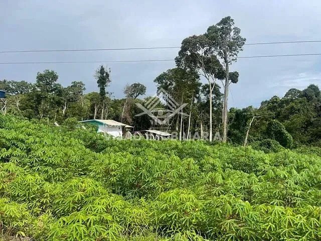 Chácara com 2500m², à venda, no bairro Chácara de Lazer Monaliza em Sinop