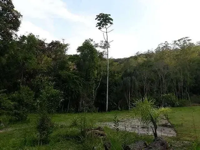 Chácara 2 quartos e 1 banheiro, à venda, no bairro Taiaçupeba em Mogi das Cruzes