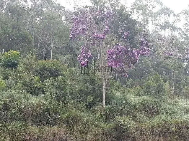 Chácara 2 quartos e 1 banheiro, à venda, no bairro Taiaçupeba em Mogi das Cruzes