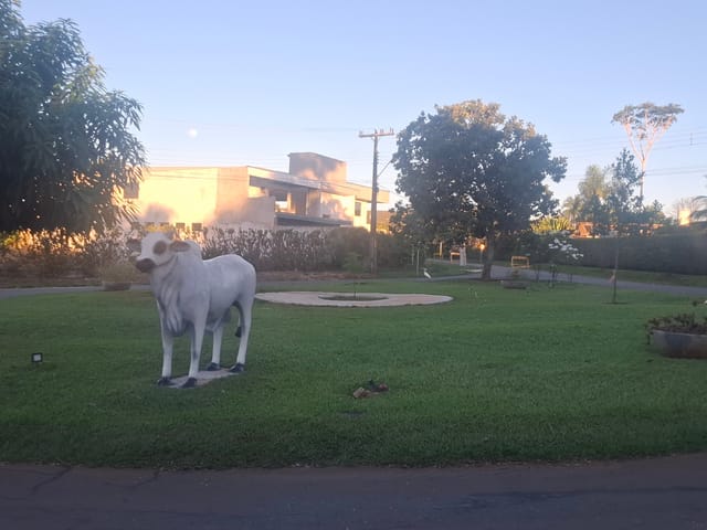 Chácara à venda, no bairro CONDOMINIO TERRA DO BOI em Hidrolândia