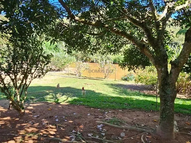Sítio com 48000m² 3 quartos e 1 banheiro, à venda, no bairro Rialto em Barra Mansa