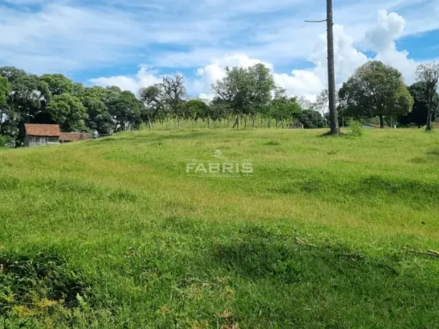 Chácara com 142134m² 2 quartos e 1 banheiro, à venda, no bairro Centro em Balsa Nova