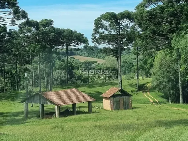Chácara com 142134m² 2 quartos e 1 banheiro, à venda, no bairro Centro em Balsa Nova
