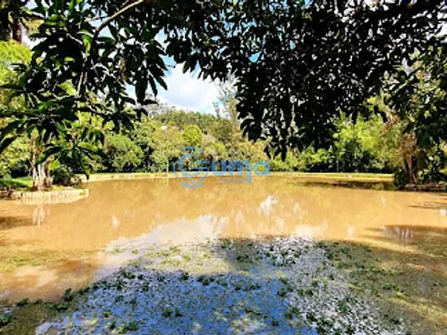 Chácara com 24000m² 3 quartos e 2 banheiros, à venda, no bairro Arara dos Pereiras em Bragança Paulista