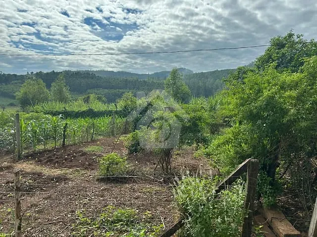 Chácara com 84m² 2 quartos e 1 banheiro, à venda, no bairro Zona Rural em Paverama