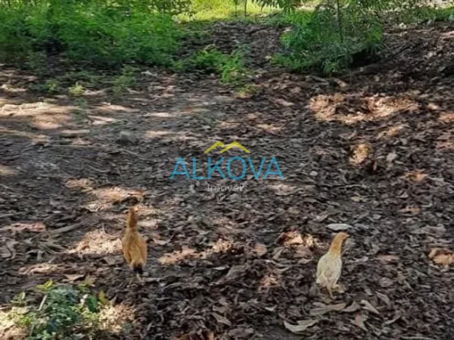 Chácara com 4000m² 2 quartos e 2 banheiros, à venda, no bairro Sapé I em Caçapava