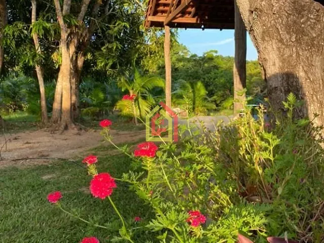 Chácara com 145200m², à venda, no bairro Zona Rural em Marabá