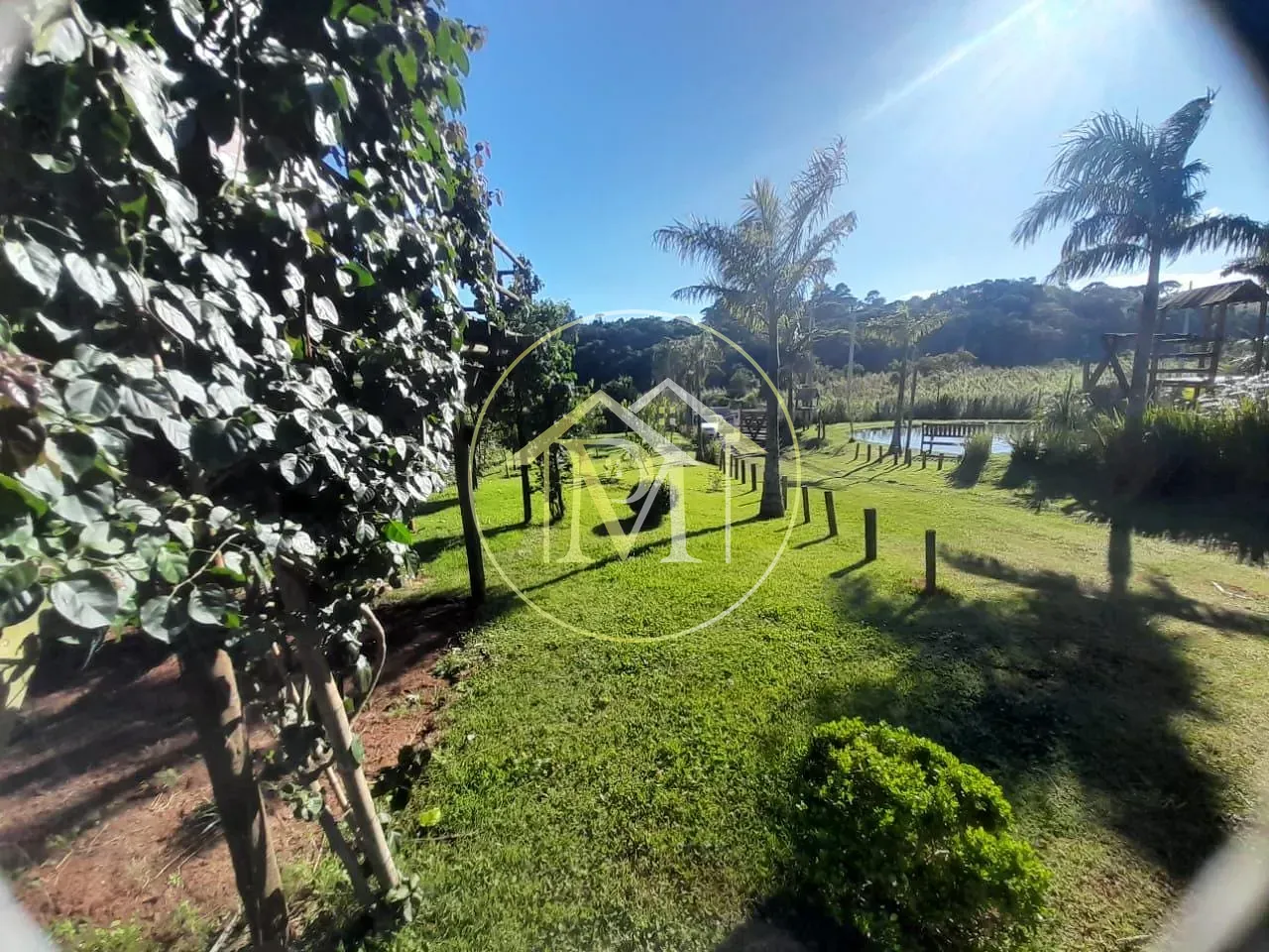 Chácara, 5 quartos, 1000 m² - Foto 6