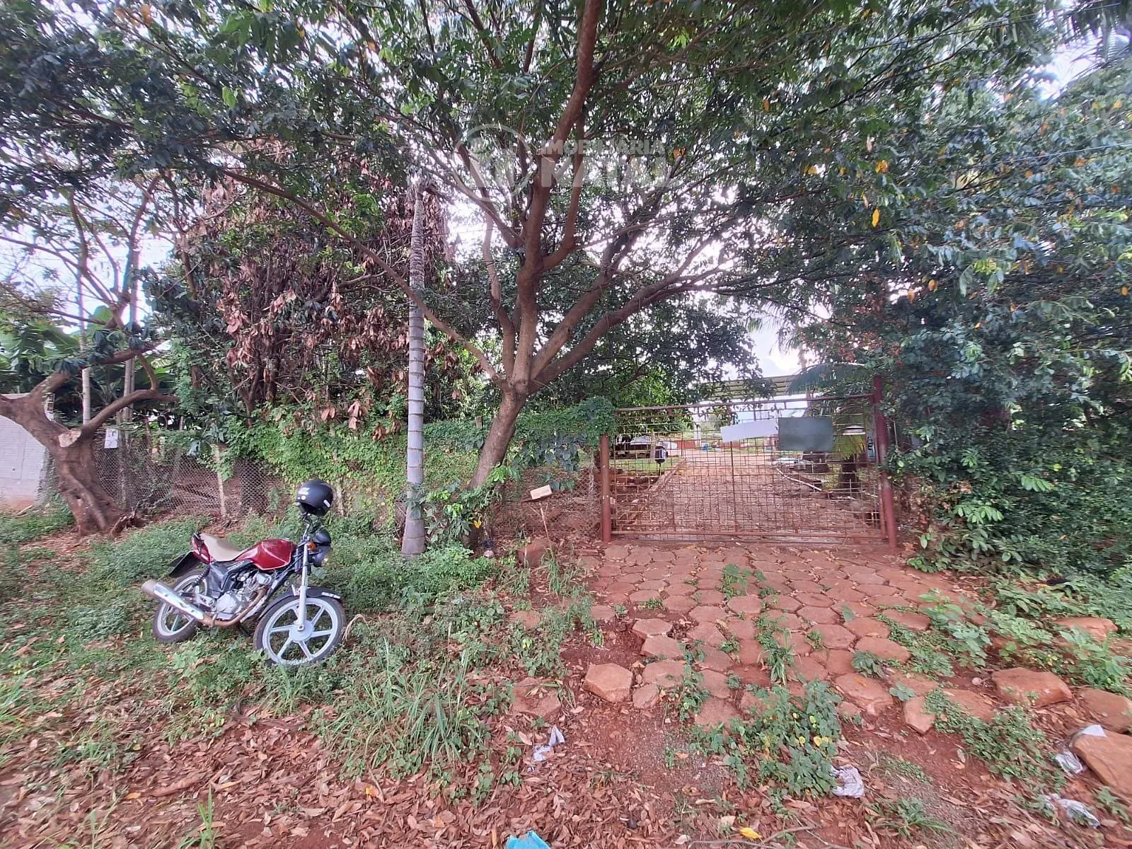 Sítio, 1 quarto, 3100 m² - Foto 49