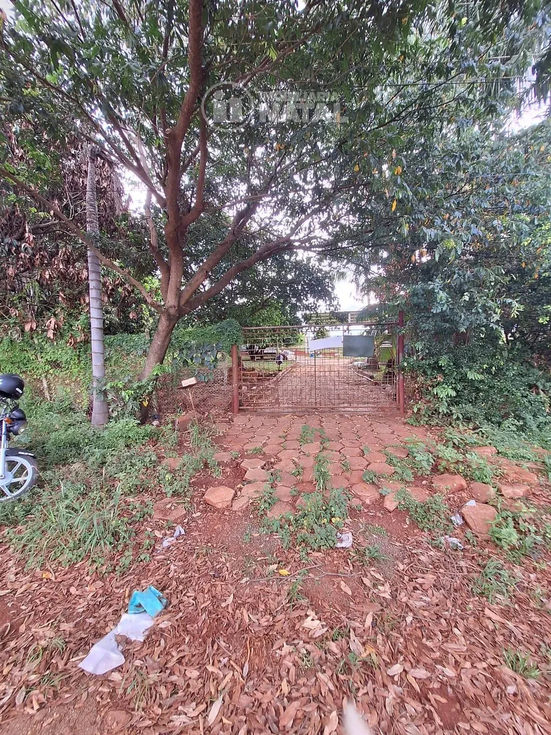 Sítio, 1 quarto, 3100 m² - Foto 50