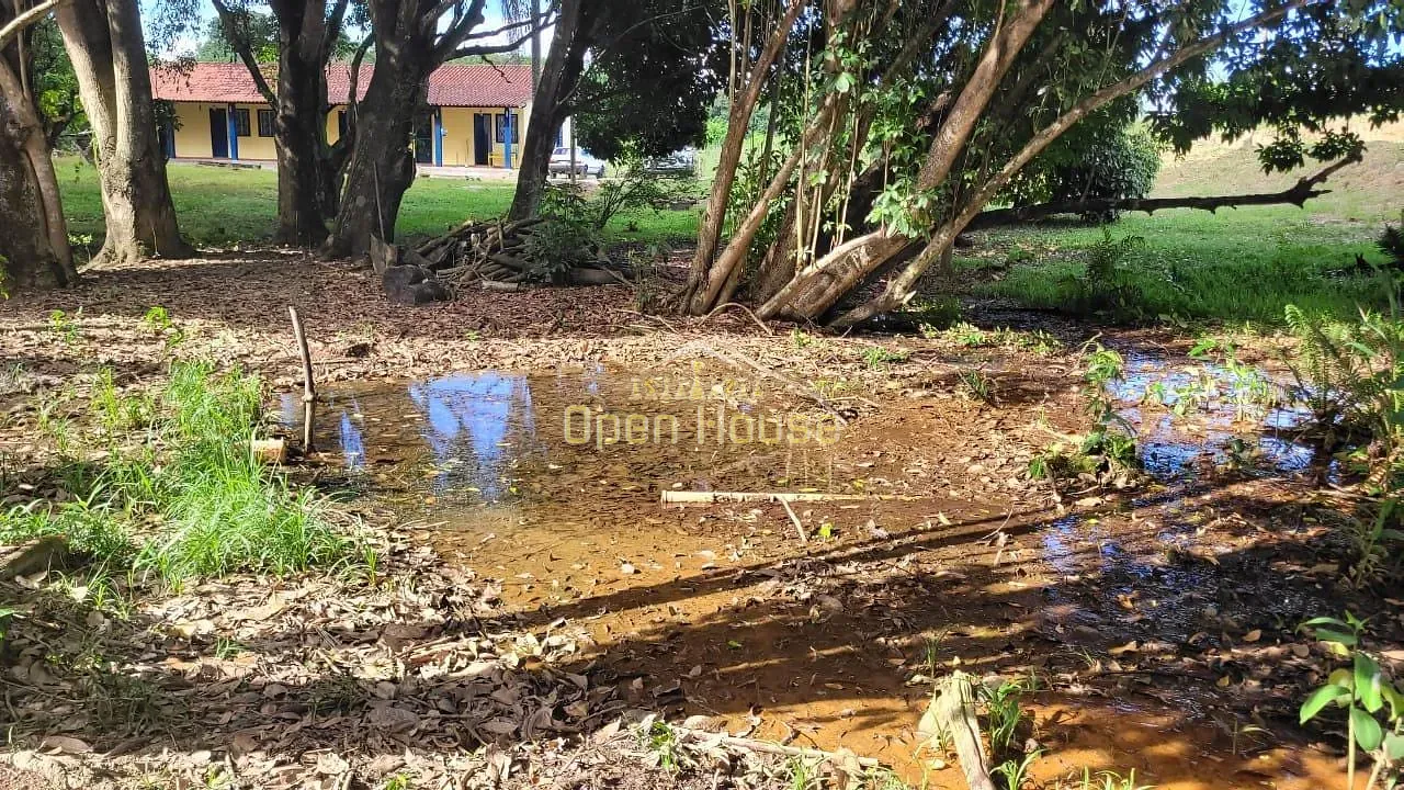 Sítio, 5 quartos, 6040 m² - Foto 3