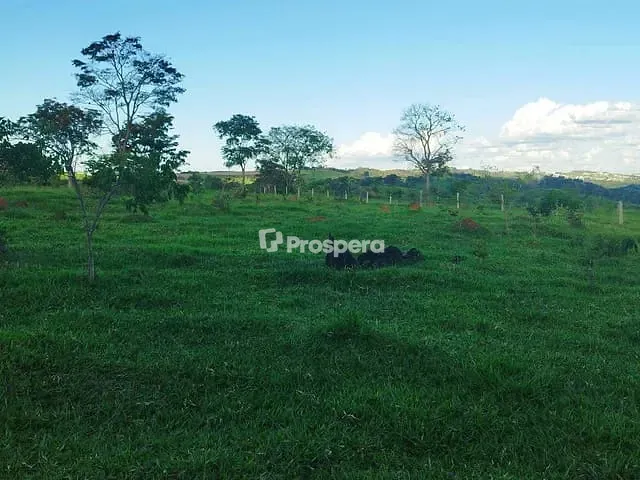 Chácara com 20000m², à venda, no bairro Residencial Dom Felipe em Anápolis