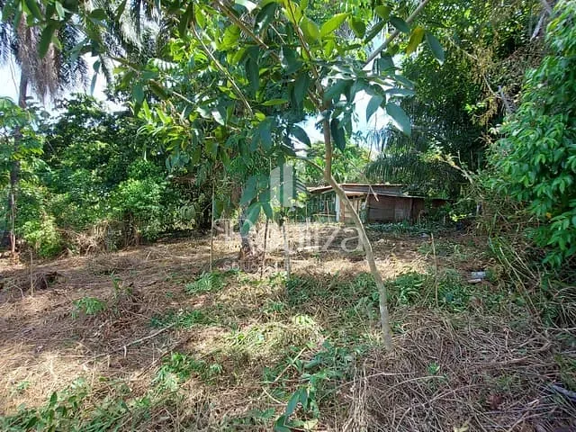 Chácara com 1394m², à venda, no bairro Pontal em Ilhéus