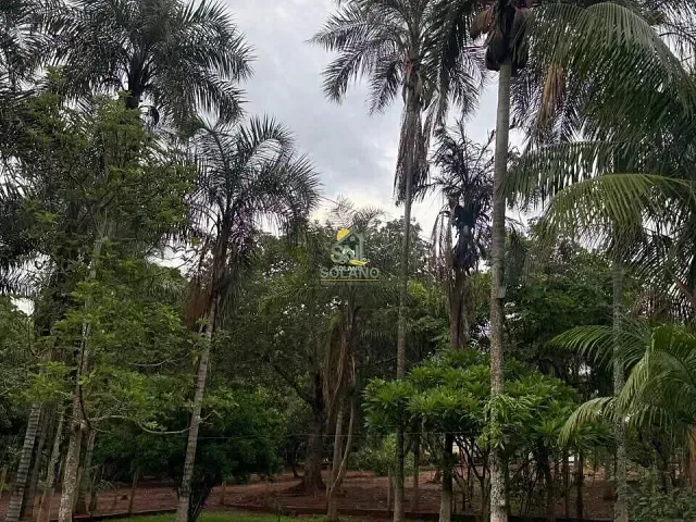 Chácara com 12m² 3 quartos e 2 banheiros, à venda, no bairro Centro em Anicuns