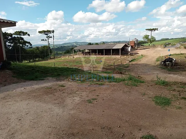 Chácara com 229900m² 3 quartos e 2 banheiros, à venda, no bairro Áreal Rural de Castro em Castro