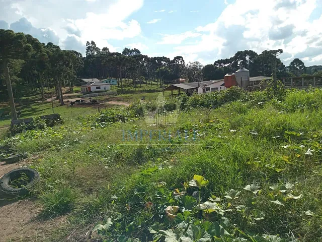 Chácara com 229900m² 3 quartos e 2 banheiros, à venda, no bairro Áreal Rural de Castro em Castro