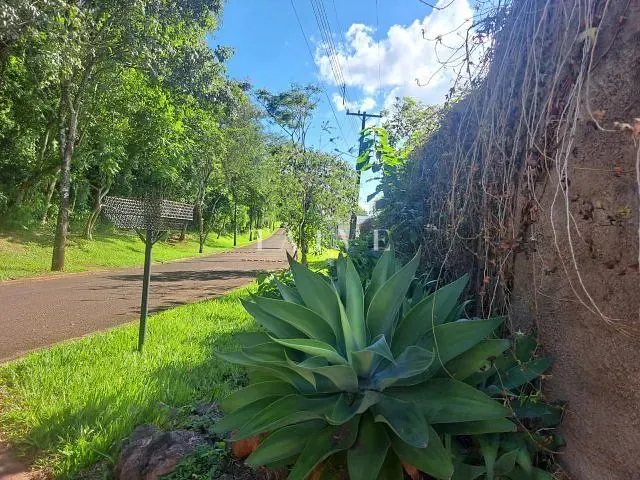 Chácara com 3695m², à venda, no bairro Estância Cabral em Cambé