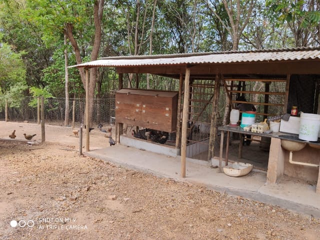 Chácara à venda, no bairro ZONA RURAL em Abadiânia