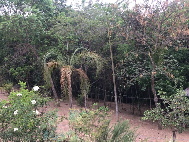 Chácara à venda, no bairro ZONA RURAL em Abadiânia