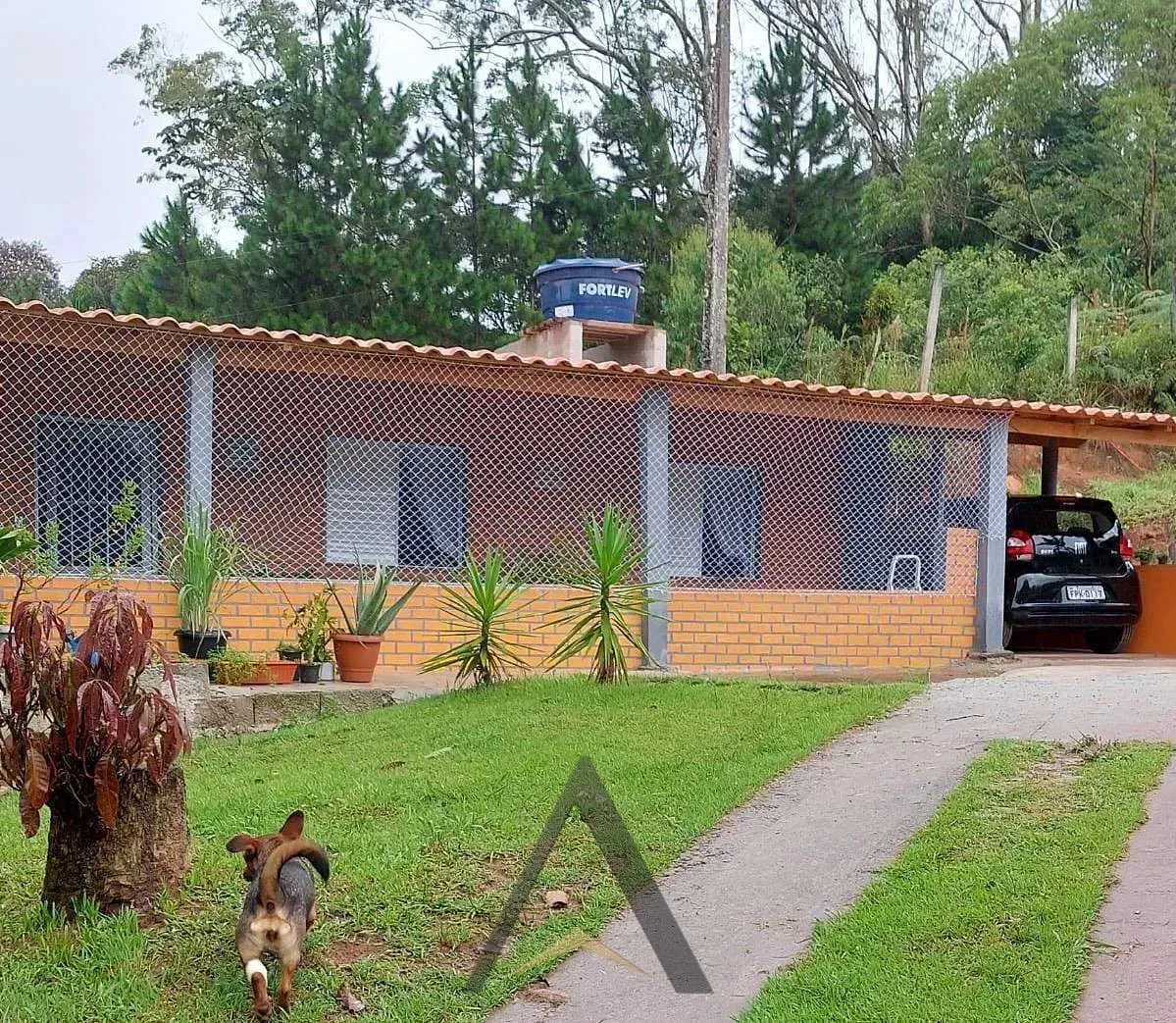 Sítio, 2 quartos, 2000 m² - Foto 2