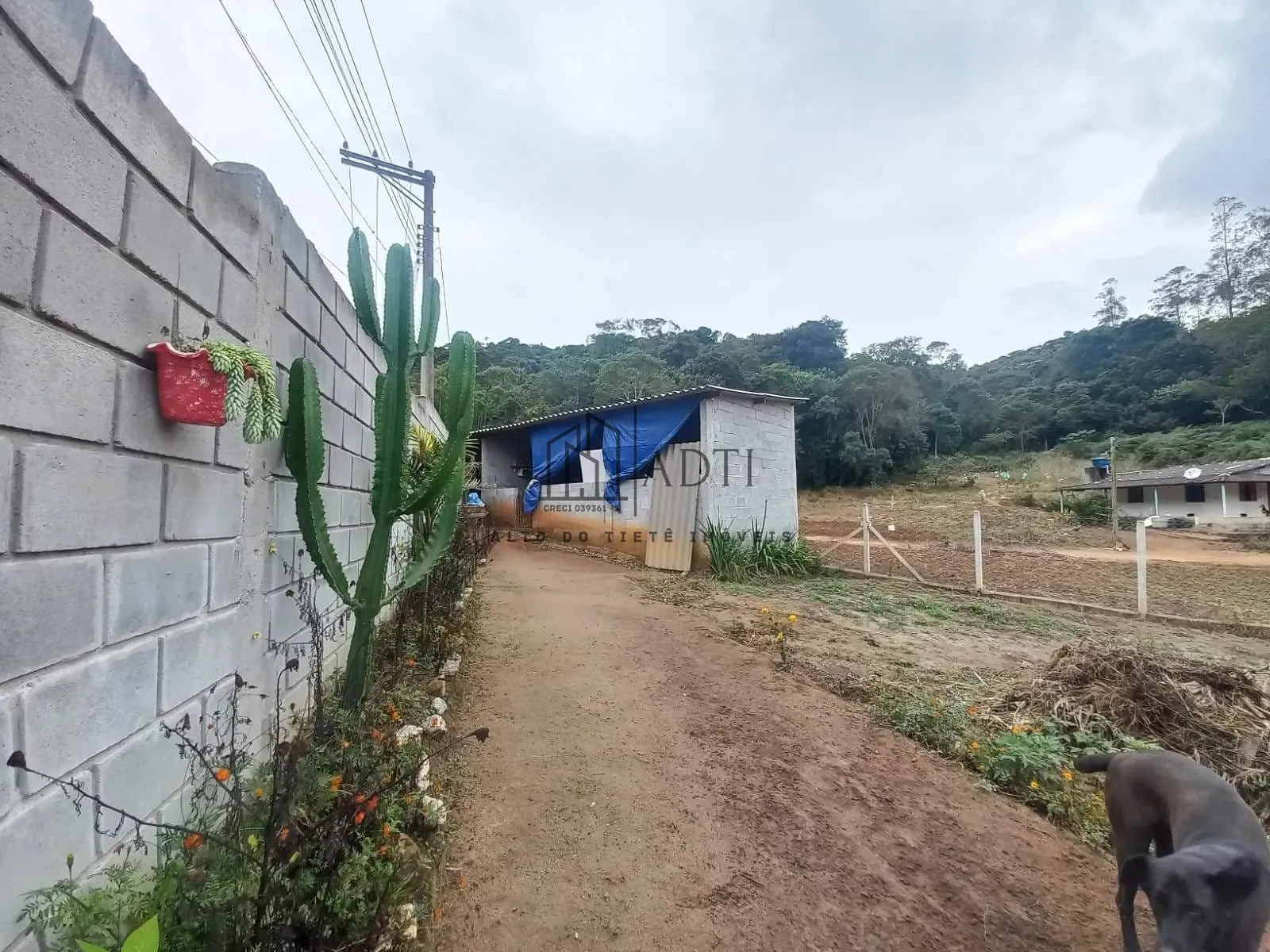 Chácara, 3 quartos, 1000 m² - Foto 17