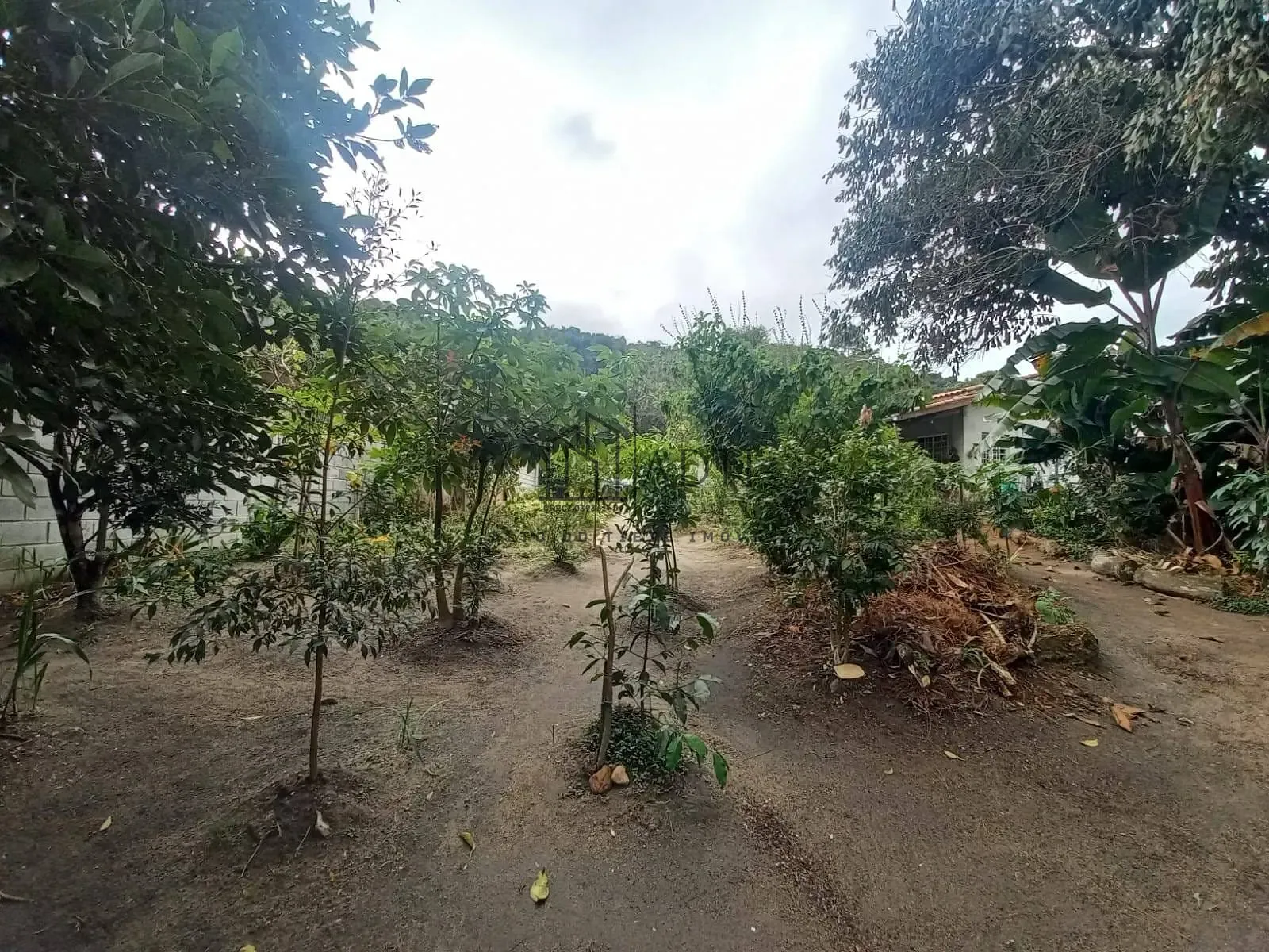 Chácara, 3 quartos, 1000 m² - Foto 19