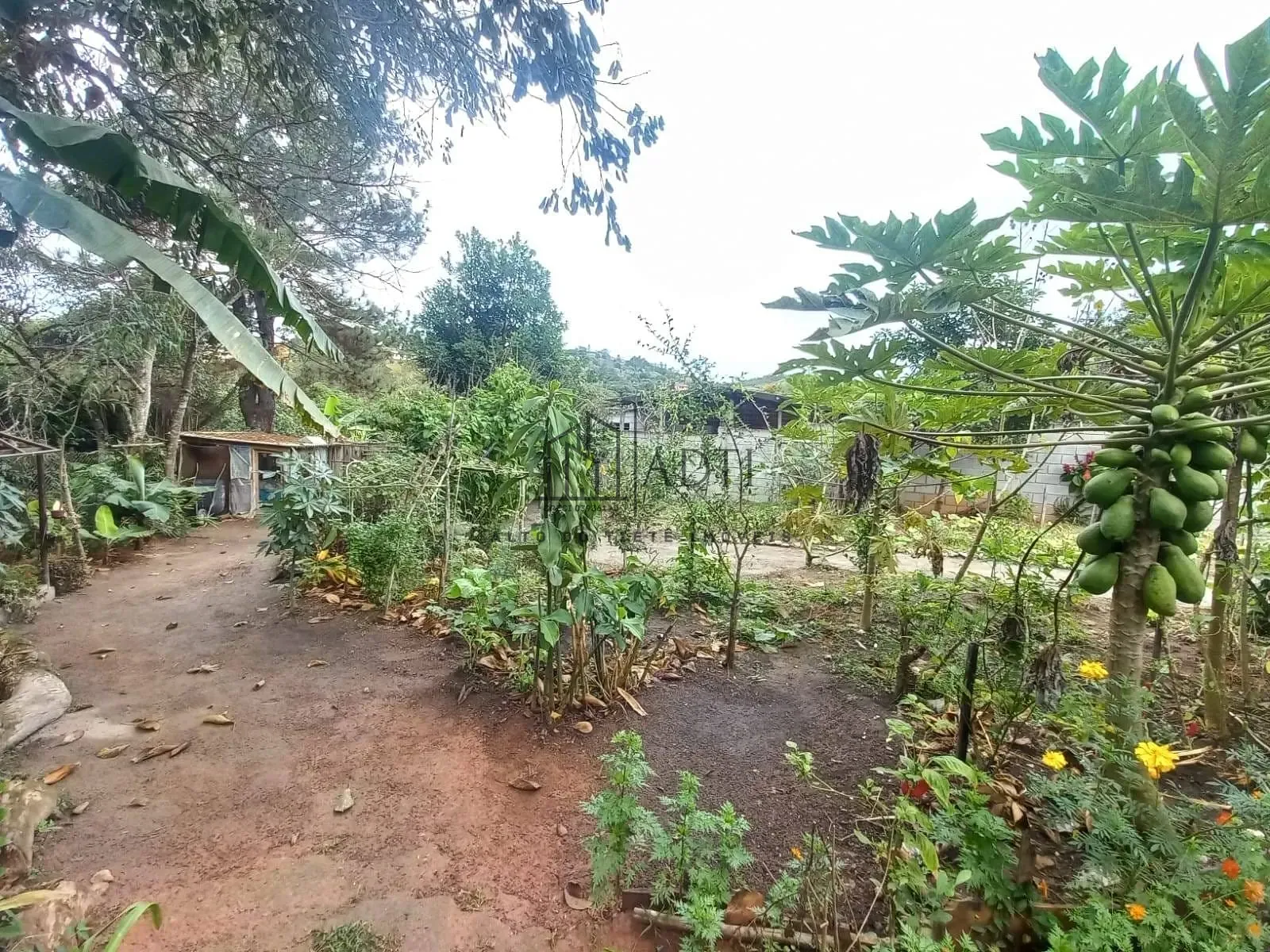 Chácara, 3 quartos, 1000 m² - Foto 20