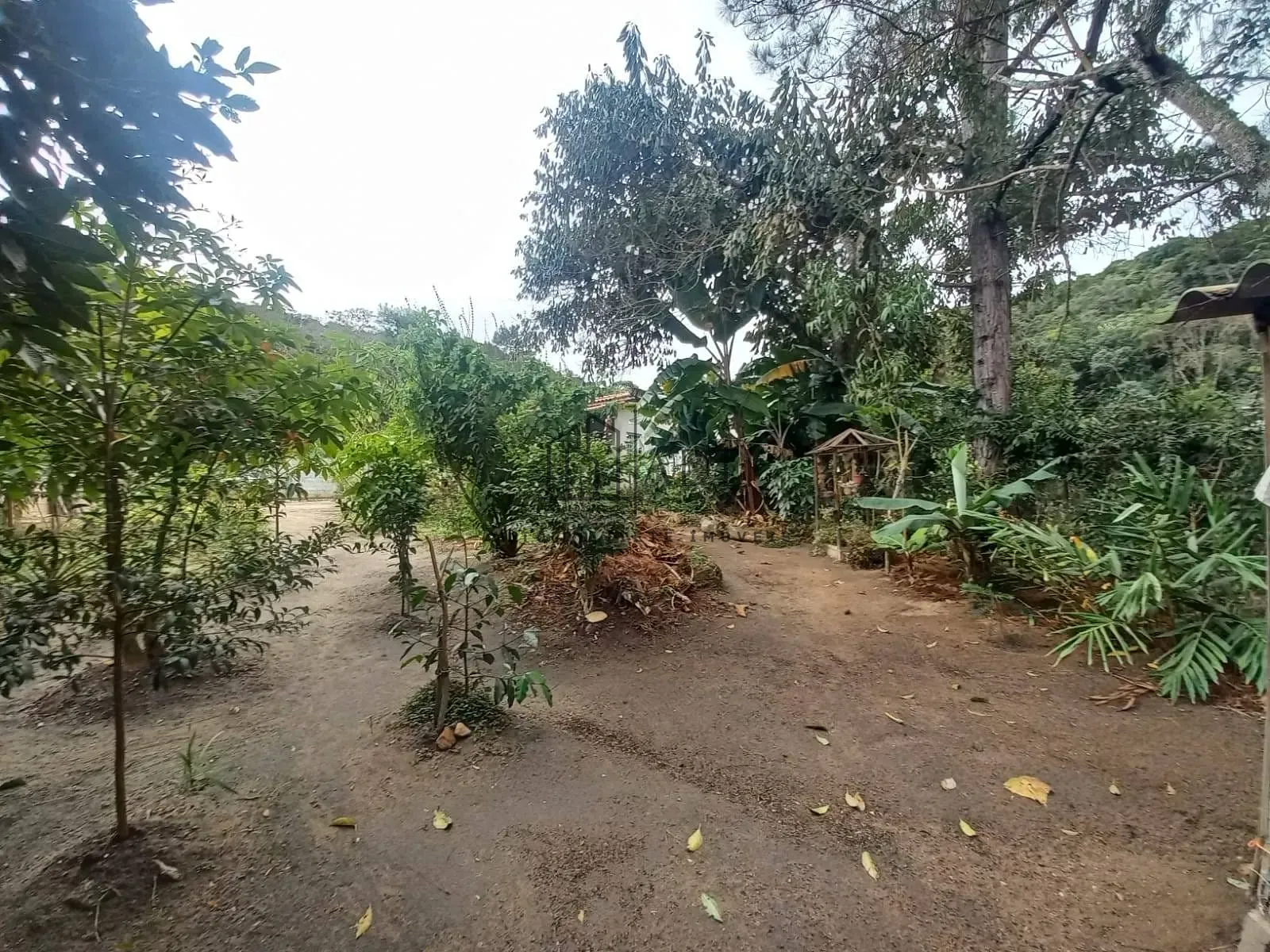 Chácara, 3 quartos, 1000 m² - Foto 21