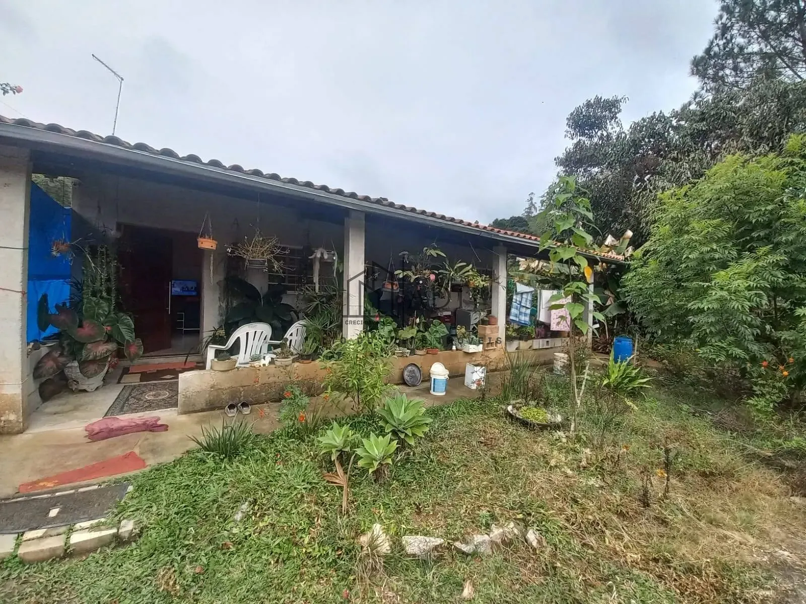 Chácara, 3 quartos, 1000 m² - Foto 14