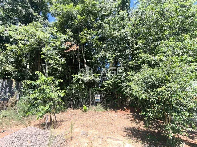 Chácara à venda, no bairro Novo Atlântico em Erechim