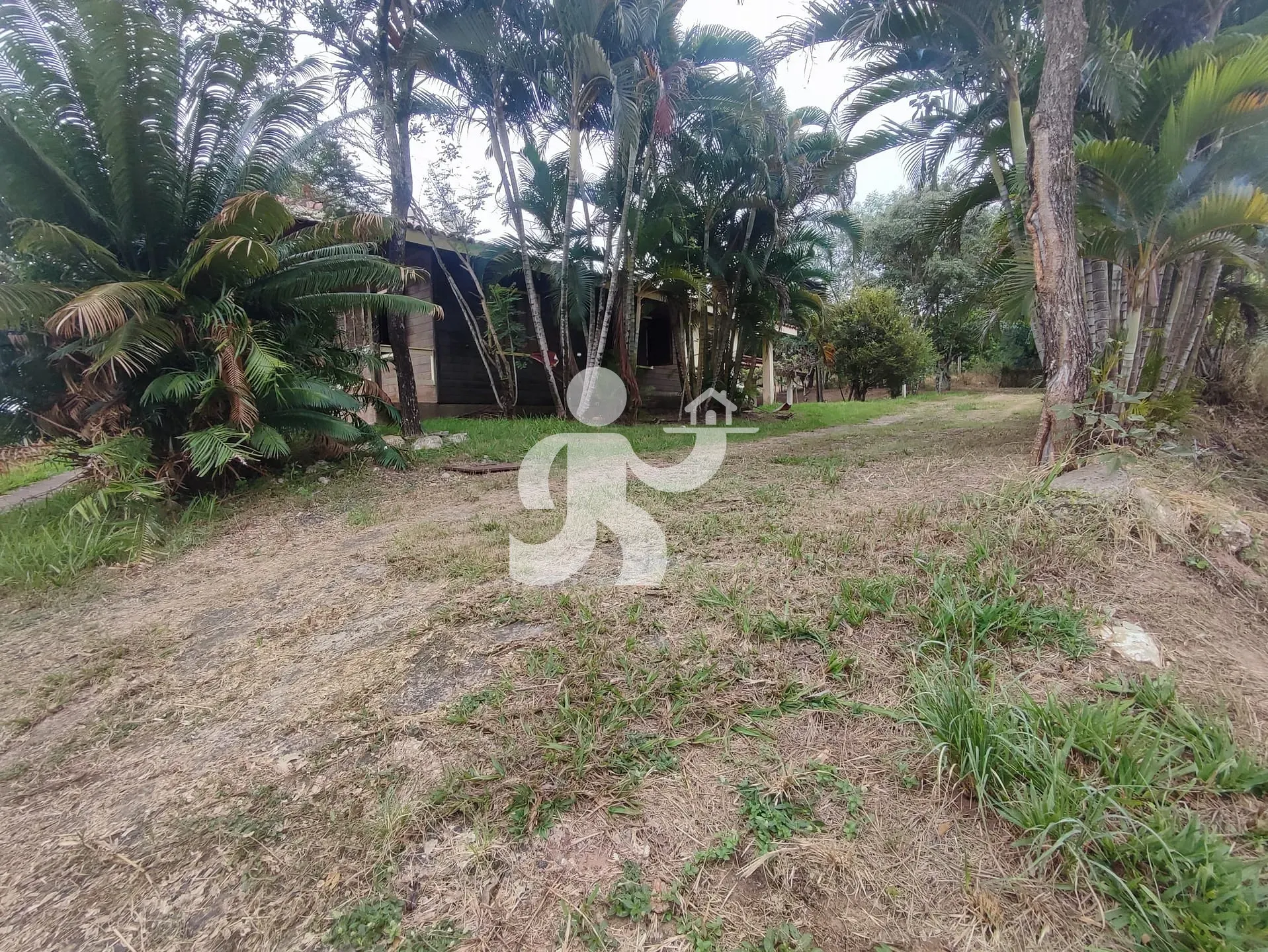 Chácara, 8 quartos, 2 hectares - Foto 60