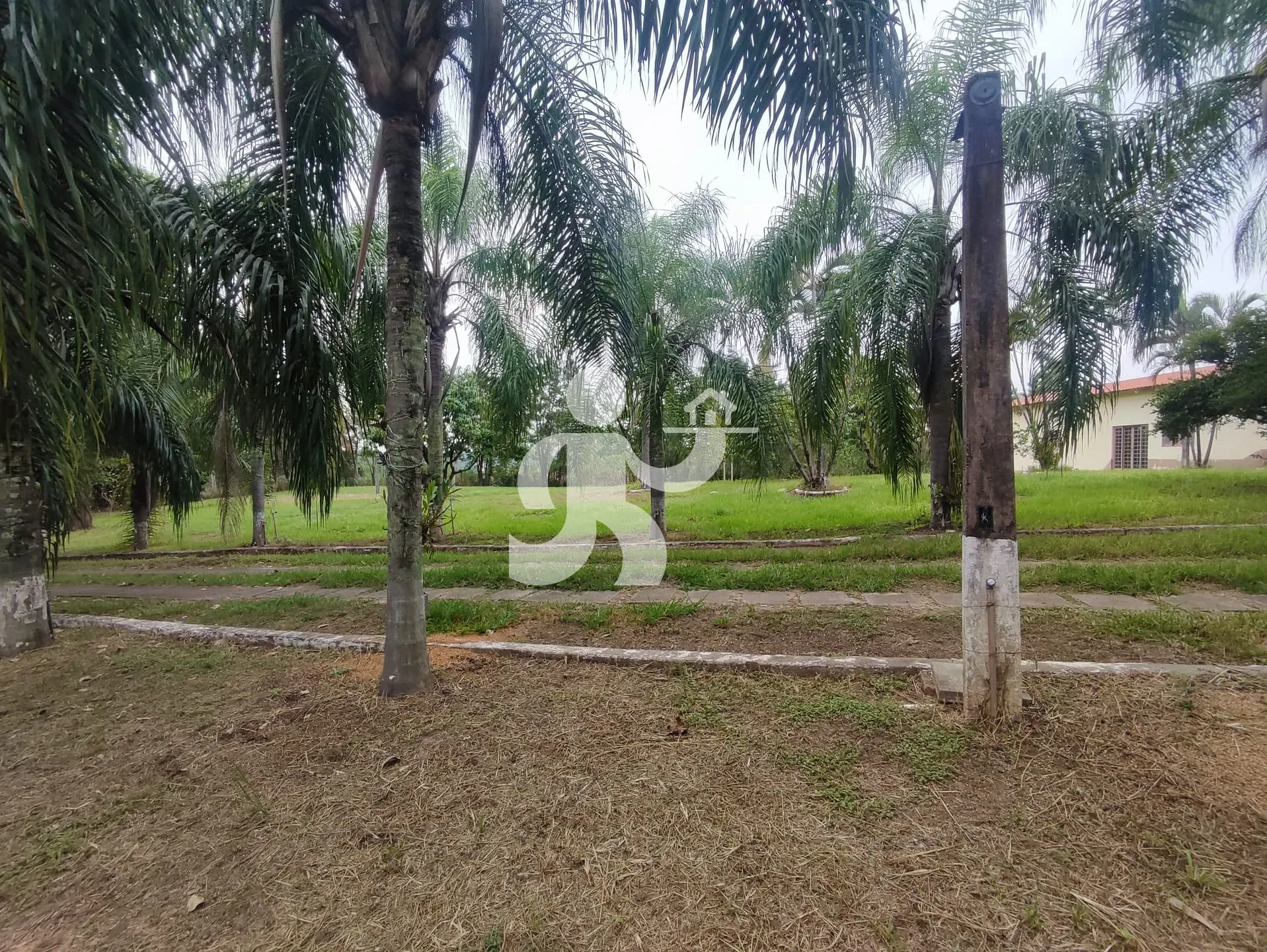 Chácara, 8 quartos, 2 hectares - Foto 42
