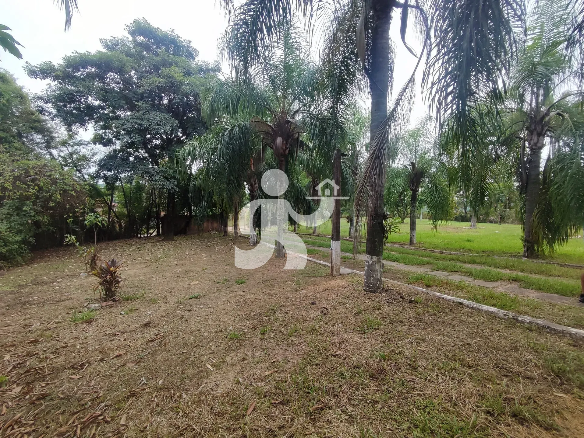 Chácara, 8 quartos, 2 hectares - Foto 43