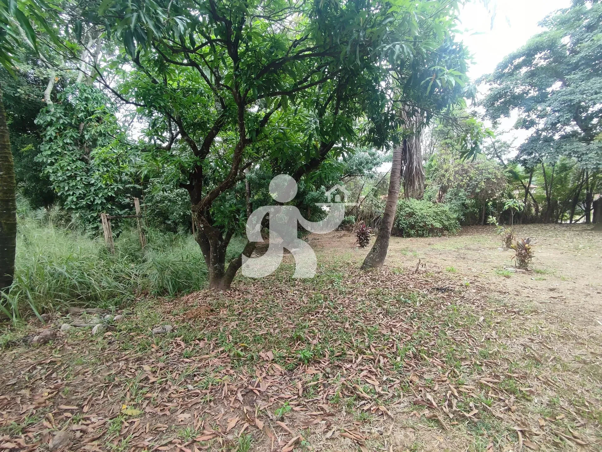 Chácara, 8 quartos, 2 hectares - Foto 44