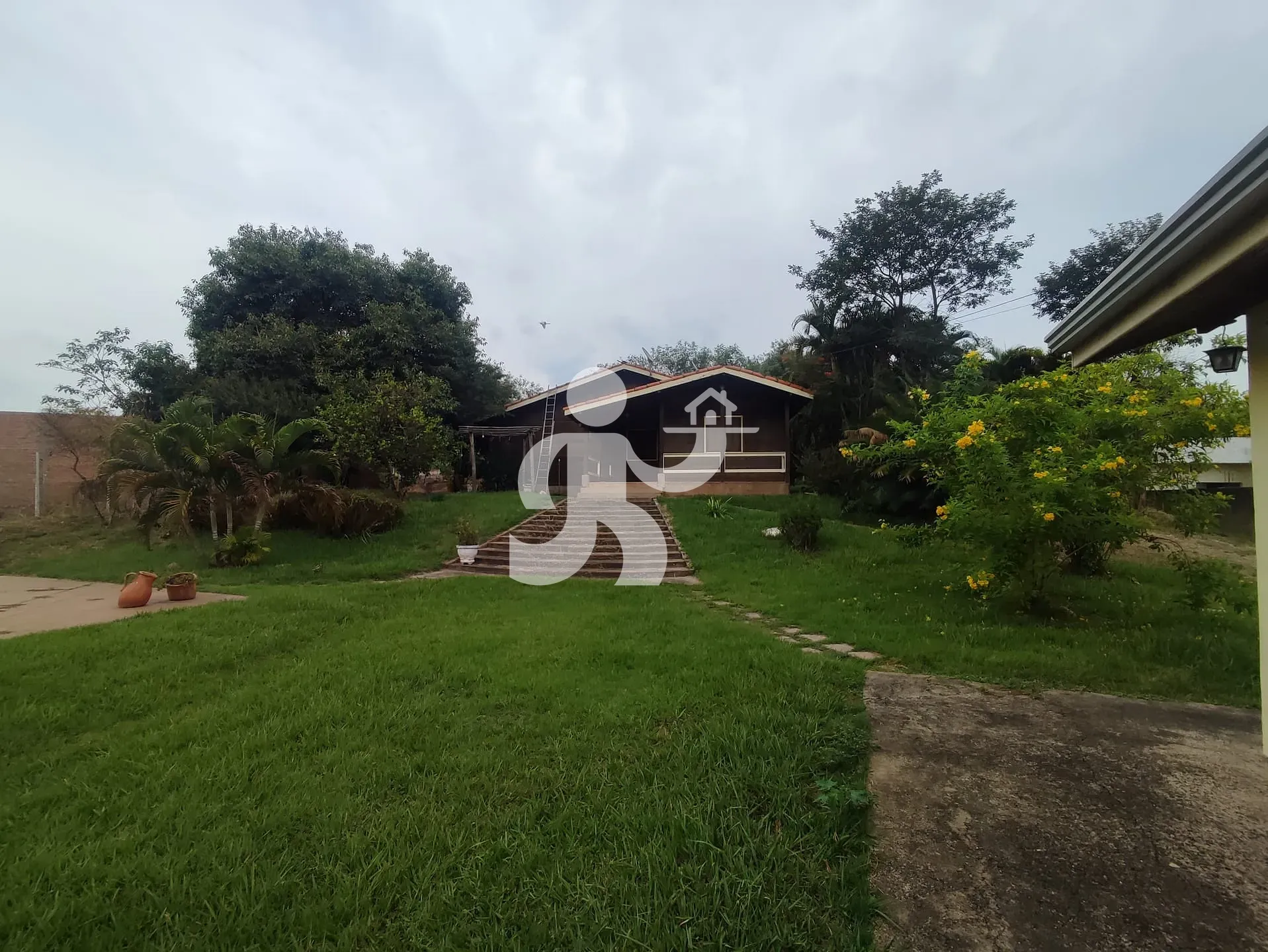 Chácara, 8 quartos, 2 hectares - Foto 13