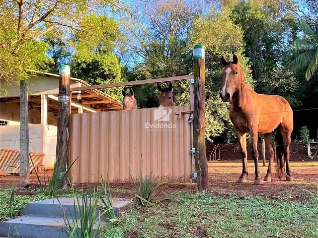 Chácara com 5000m² 3 quartos e 2 banheiros, à venda, no bairro Limoeiro - Recanto Fazenda da Nata em Londrina