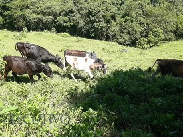 Chácara com 107047m², à venda, no bairro 0 em Travesseiro