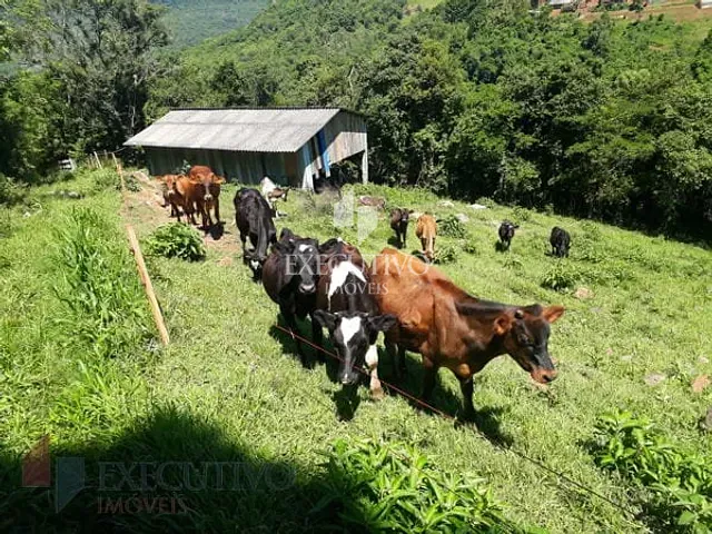 Chácara com 107047m², à venda, no bairro 0 em Travesseiro