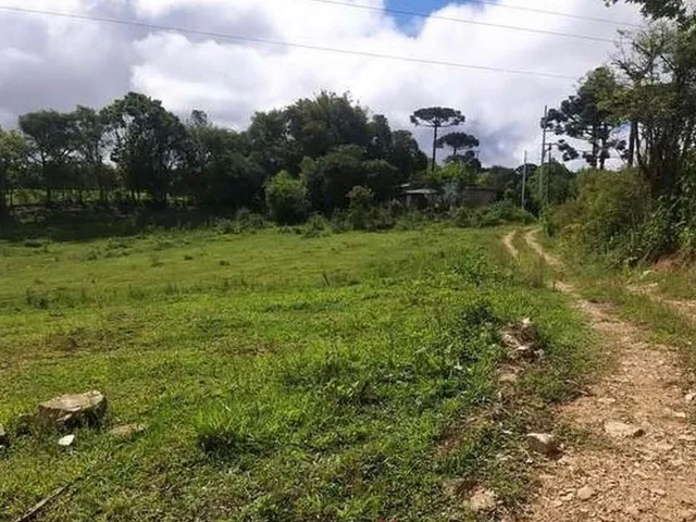 Chácara com 21685m², à venda, no bairro Barro Preto em São José dos Pinhais