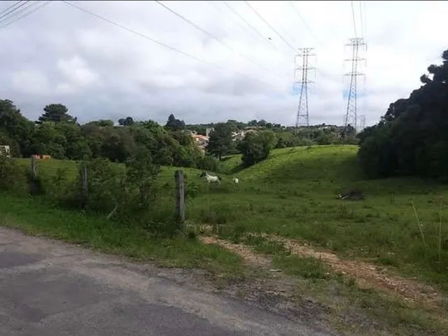 Chácara com 21685m², à venda, no bairro Barro Preto em São José dos Pinhais