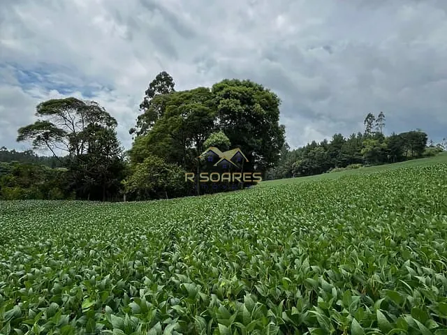 Chácara com 93544m², à venda, no bairro Colonia Lajeadinho em Mallet