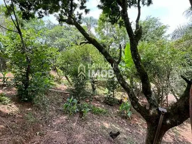 Chácara com 3200m² 3 quartos e 2 banheiros, à venda, no bairro Chácaras Jota-Ká em Jarinu