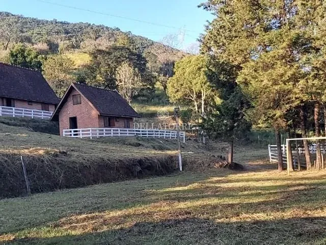 Chácara com 21000m² 4 quartos e 2 banheiros, à venda, no bairro Laranjeiras de Caldas em Caldas